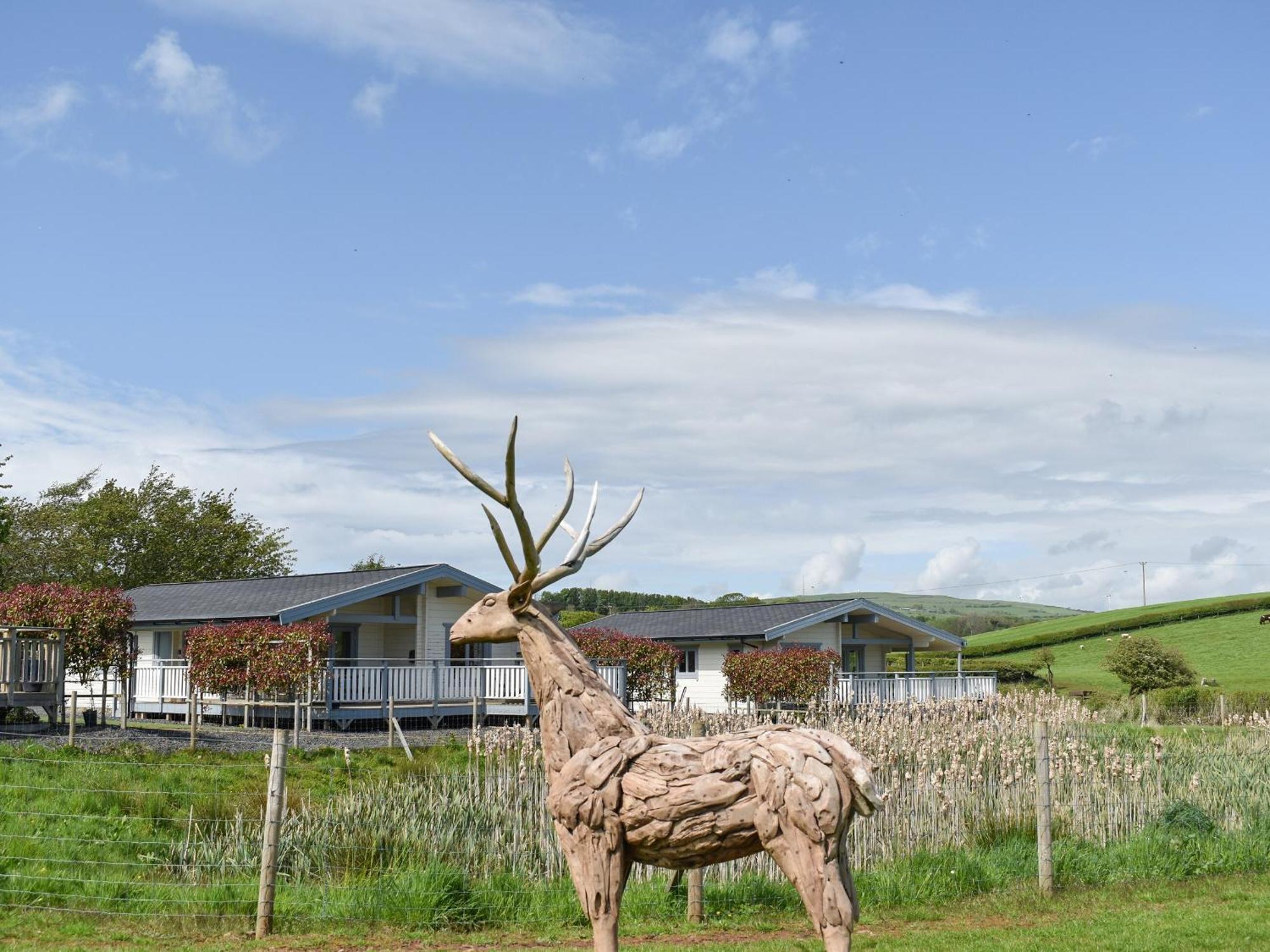 Pine Lodge - Uk30007 Lindal in Furness 外观 照片